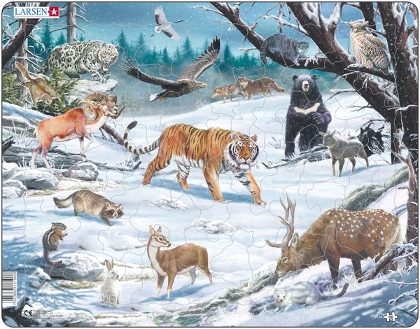 Sibiriska djur