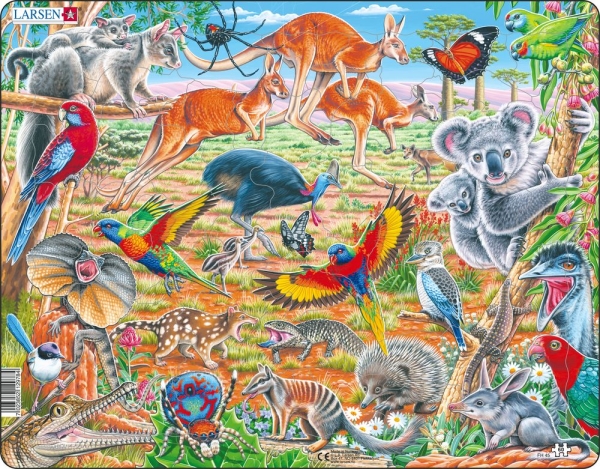Australiens djur